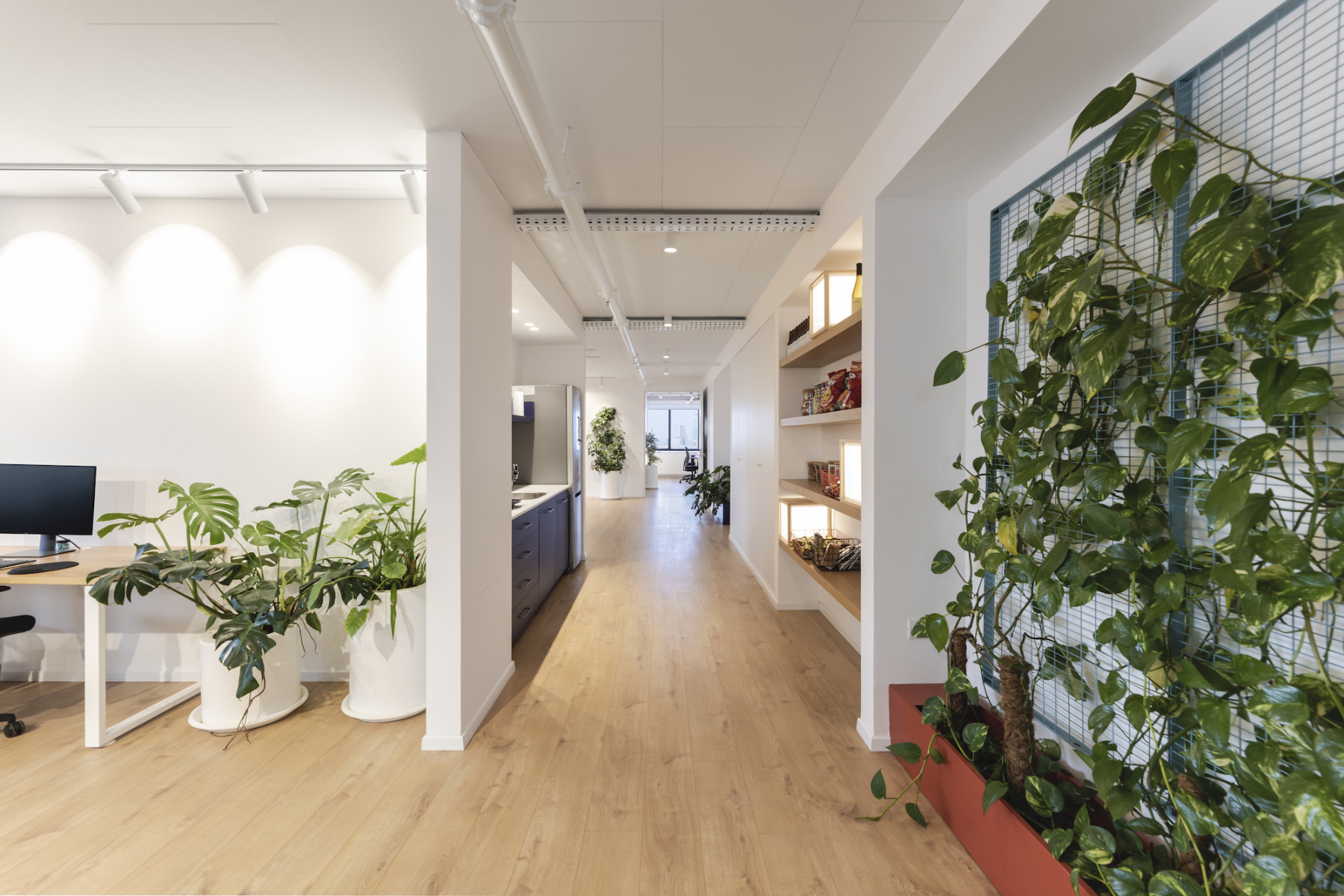 Corridor bionic-tel-aviv-office-5