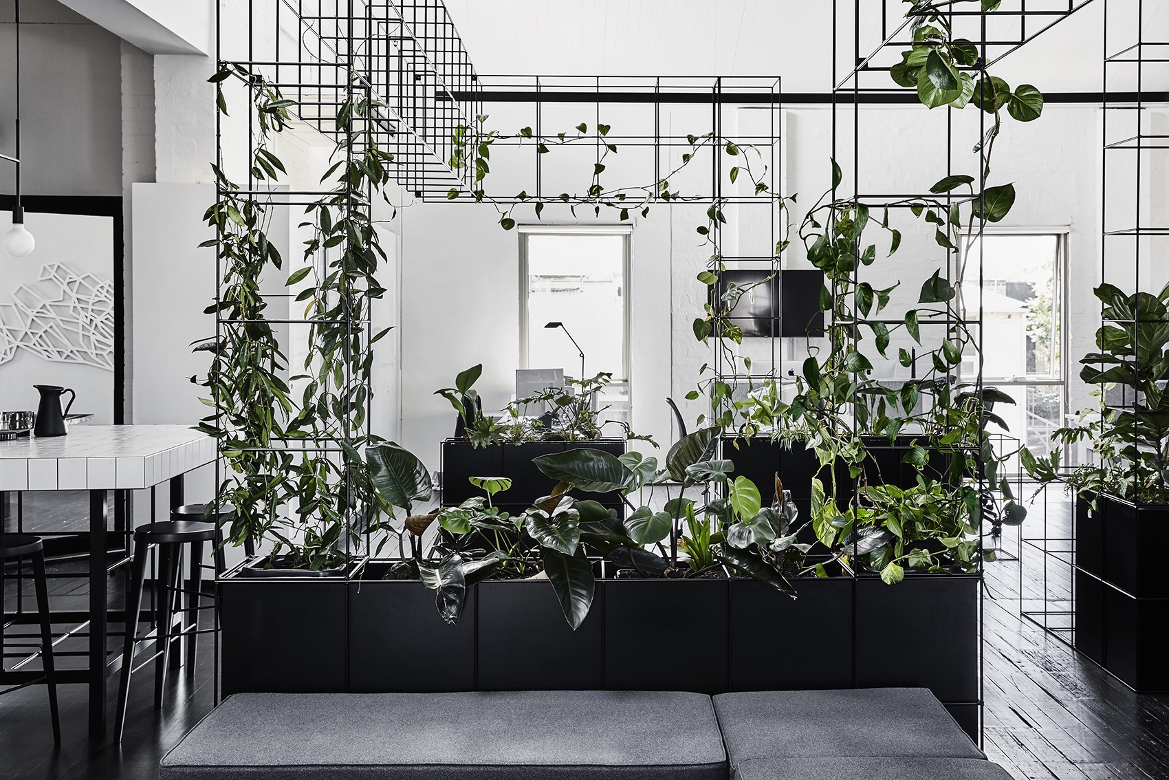 Biophilic elements candlefox-melbourne-office-9