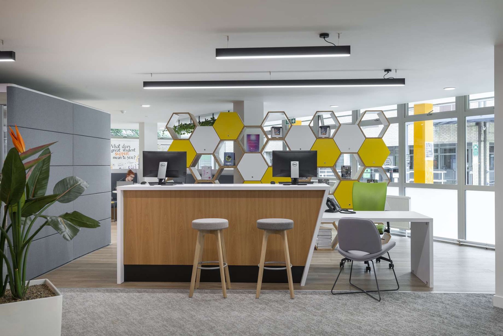 Reception desk university-of-surrey-office-2